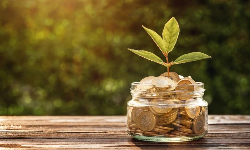 Dividend Yield vs Dividend Growth: Which Matters More?