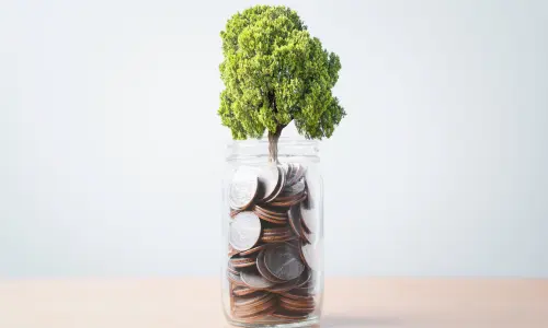 A tree growing form a jar of money representing ASX Dividend Stocks growth.