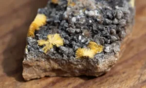 ASX uranium stocks