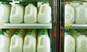 a2 milk recalled