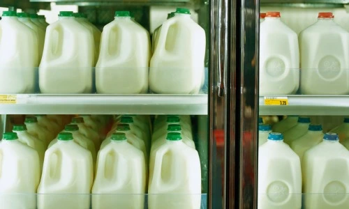a2 milk recalled