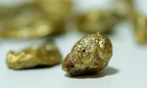 Gold Mining Stocks You